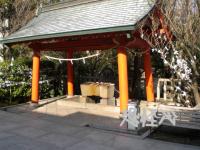 �ʑ��Ŋg��