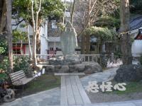 �ʑ��Ŋg��