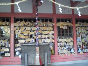 �ʑ��Œ��̗l�q���g��