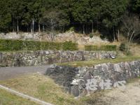 �ʑ��Ŋg��