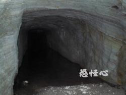 �ʑ��Ŋg��