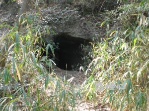 �ʑ��Ŋg��