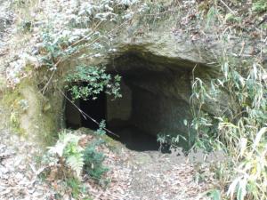 �ʑ��Ŋg��