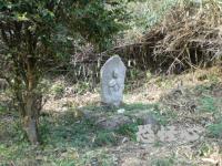 �ʑ��Ŋg��