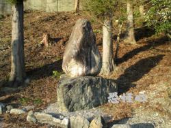 �ʑ��Ŋg��