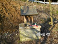 �ʑ��Ŋg��