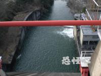 �ʑ��Ŋg��