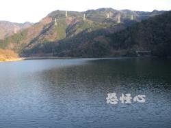 �ʑ��Ŋg��