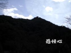 �ʑ��Ŋg��