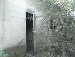 �ʑ��Ŋg��