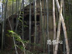 �ʑ��Ŋg��