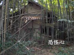 �ʑ��Ŋg��