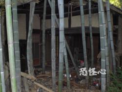 �ʑ��Ŋg��