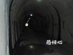 �ʑ��Ŋg��