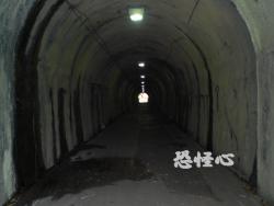 �ʑ��Ŋg��