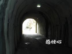 �ʑ��Ŋg��