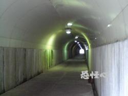 �ʑ��Ŋg��