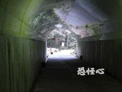 �ʑ��Ŋg��