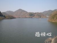 �ʑ��Ŋg��