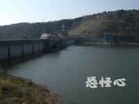 �ʑ��Ŋg��