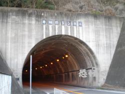 �ʑ��Ŋg��