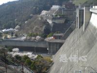 �ʑ��Ŋg��