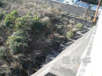 �ʑ��Ŋg��