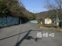 �ʑ��Ŋg��