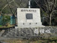 �ʑ��Ŋg��