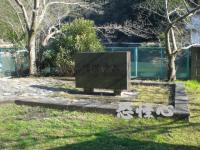 �ʑ��Ŋg��