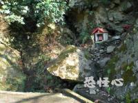 �ʑ��Ŋg��