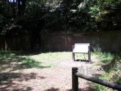 �ʑ��Ŋg��