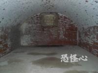 �ʑ��Ŋg��