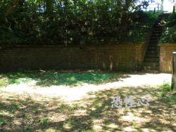 �ʑ��Ŋg��