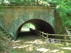 �ʑ��Ŋg��