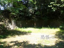 �ʑ��Ŋg��