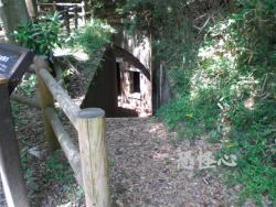 �ʑ��Ŋg��