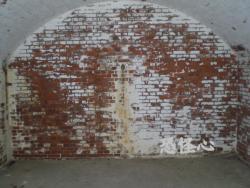 �ʑ��Ŋg��