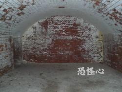 �ʑ��Ŋg��