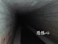 �ʑ��Ŋg��