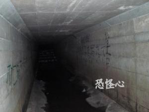 �ʑ��Ŋg��