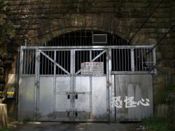 �ʑ��Ŋg��