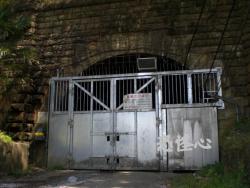 �ʑ��Ŋg��