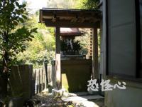 �ʑ��Ŋg��