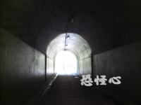 �ʑ��Ŋg��