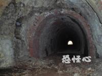 �ʑ��Ŋg��