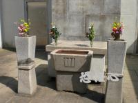 �ʑ��Ŋg��