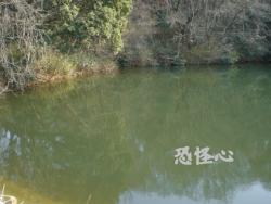 �ʑ��Ŋg��