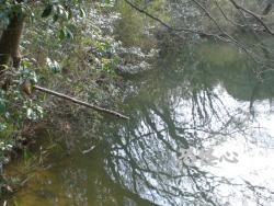 �ʑ��Ŋg��