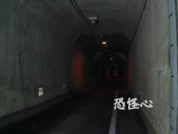 �ʑ��Ŋg��